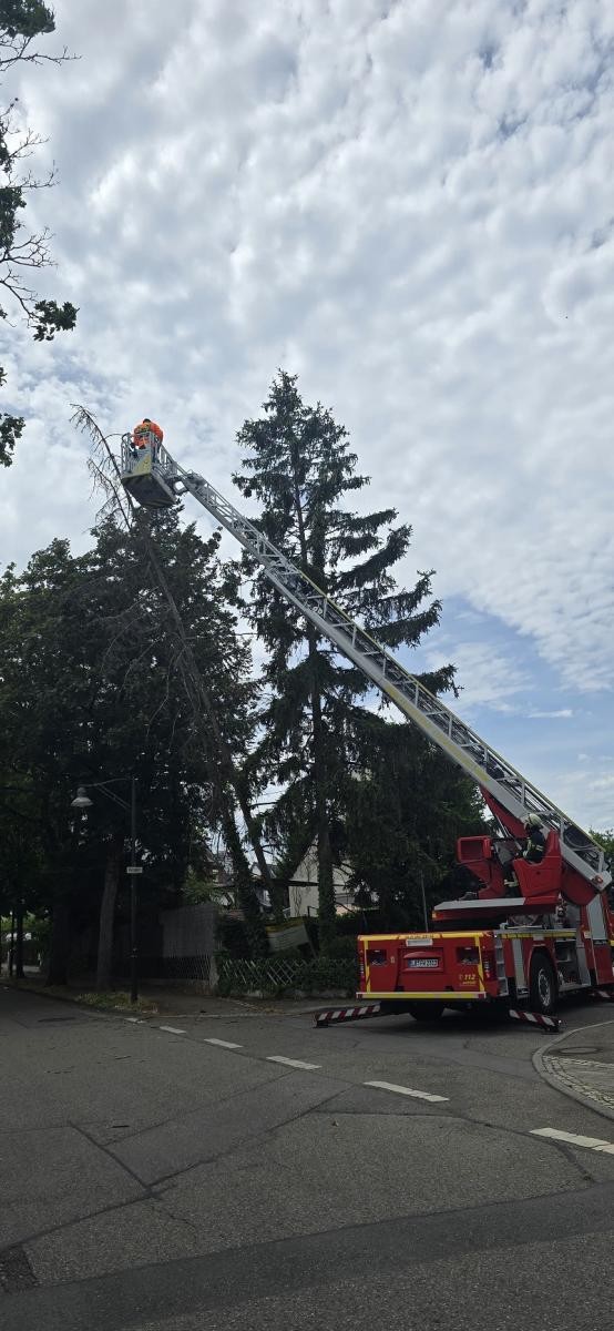 Feuerwehreinsatz Baum droht zu Fallen
