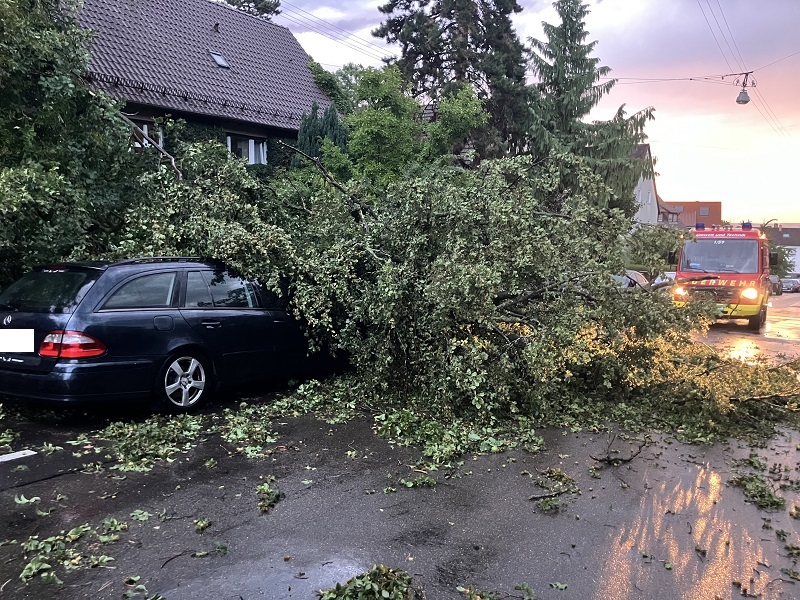 Baum über Fahrzeug 
