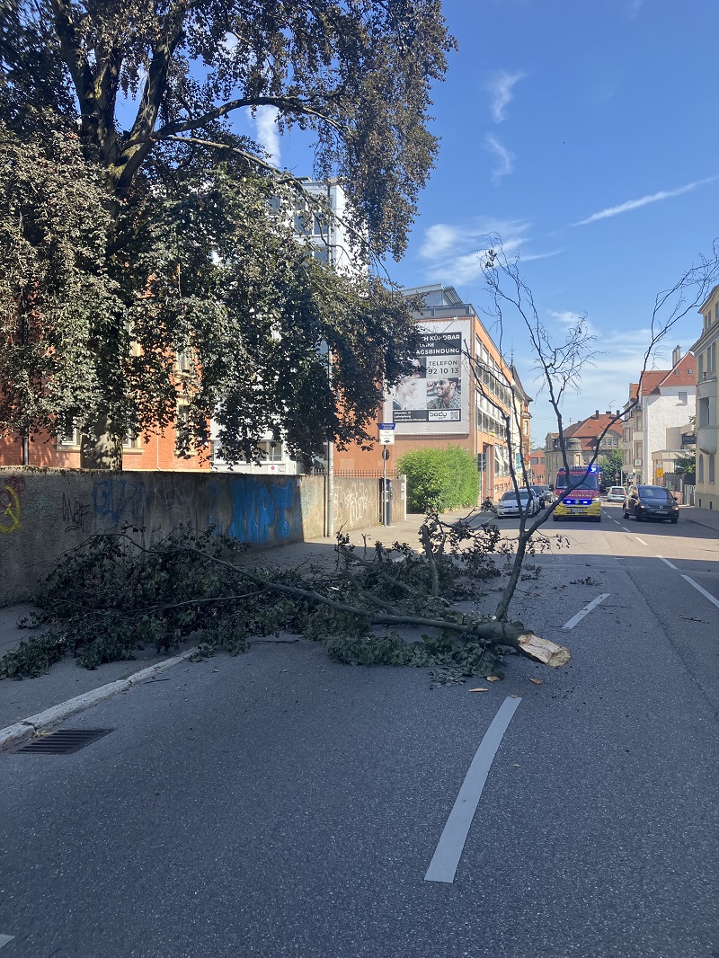 Wetterbedingte Einsätze 