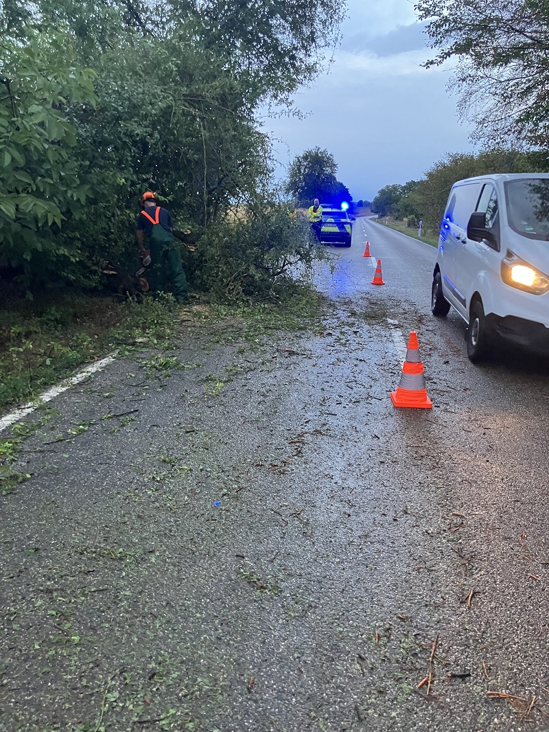 Baum auf Straße