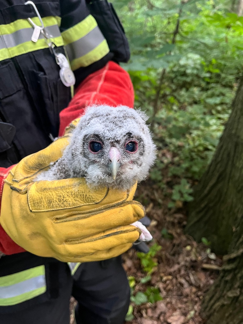 Tierrettung